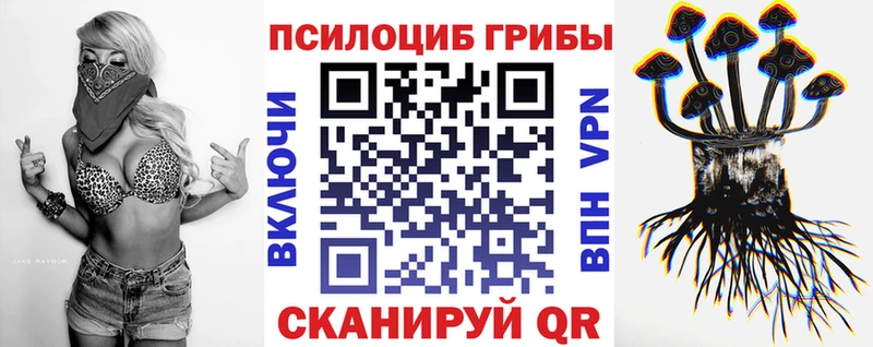 гидра рабочий сайт  Нальчик  Галлюциногенные грибы ЛСД 