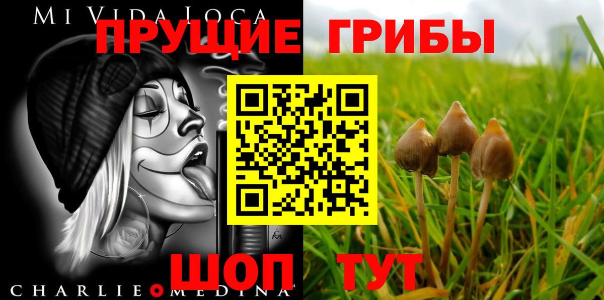 Нальчик  Галлюциногенные грибы MAGIC MUSHROOMS  Вход с VPN 